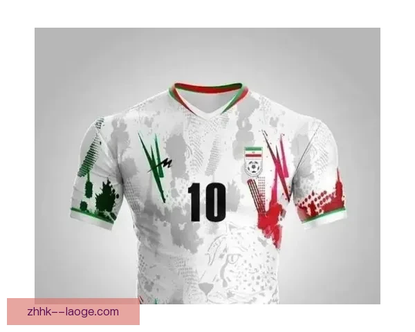 2026年世界杯候补裁判选拔与备战全景解析